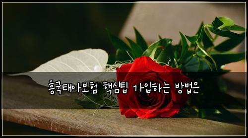흥국태아보험 핵심팁  가입하는 방법은
