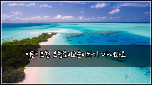 ์ด๋ฆฐ์ด๋ณดํ ๋ณดํ๋ฃ๋น๊ต์ค๋นํ๊ธฐ ๋ฐ์ ธ๋ด์