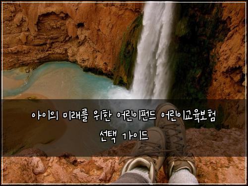 아이의 미래를 위한 어린이펀드 어린이교육보험 선택 가이드