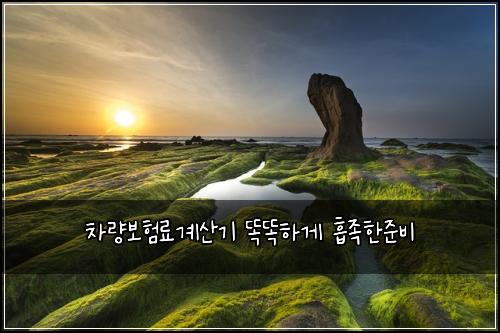 차량보험료계산기 똑똑하게 흡족한준비