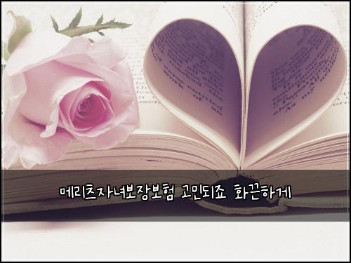 ๋ฉ๋ฆฌ์ธ ์๋
๋ณด์ฅ๋ณดํ ๊ณ ๋ฏผ๋์ฃ ํ๋ํ๊ฒ