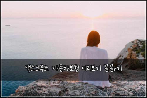 ๋งฅ์คํฌ๋ฃจ์ฆ ์๋์ฐจ๋ณดํ ๋ฏธ๋ฆฌ๋ณด๊ธฐ ๊ผผ๊ผผr๊ธฐ