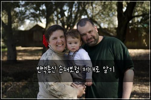 변액종신 손해보험 제대로 알기