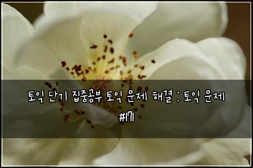 토익 단기 집중공부 토익 문제 해결 : 토익 문제 #171