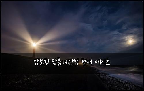 암보험 맞춤계산법  현대 메리츠