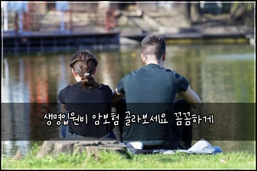 생명입원비 암보험 골라보세요  꼼꼼하게