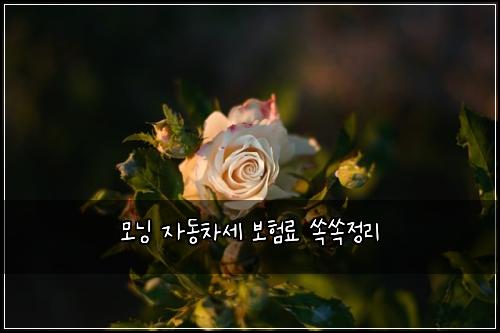 모닝 자동차세 보험료 쏙쏙정리