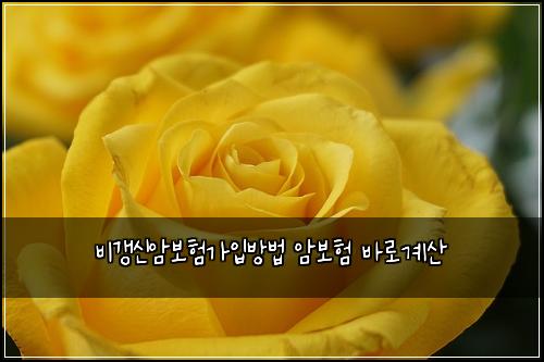 ๋น๊ฐฑ์ ์๋ณดํ๊ฐ์
๋ฐฉ๋ฒ ์๋ณดํ ๋ฐ๋ก๊ณ์ฐ