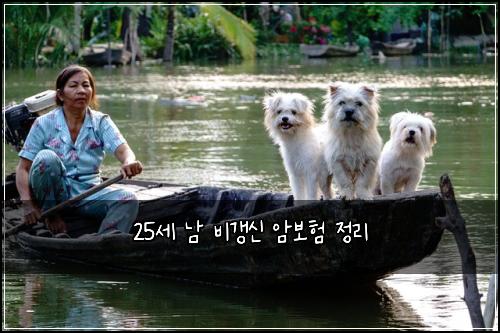 25์ธ ๋จ ๋น๊ฐฑ์ ์๋ณดํ ์ ๋ฆฌ