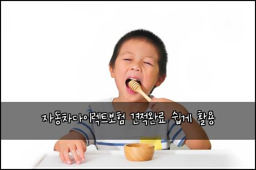 자동차다이렉트보험 견적완료  쉽게 활용