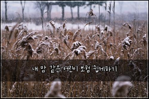 내 맘 같은 어린이 보험 쉽게하기 
