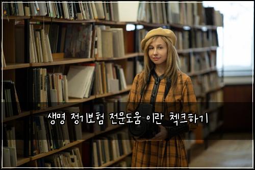 생명 정기보험 전문도움  이란 첵크하기