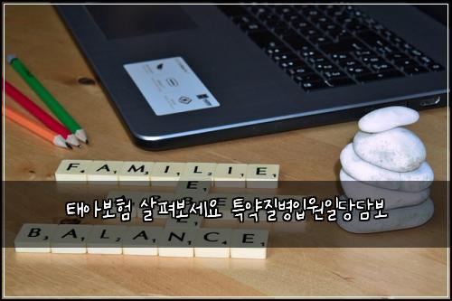 태아보험 살펴보세요  특약질병입원일당담보