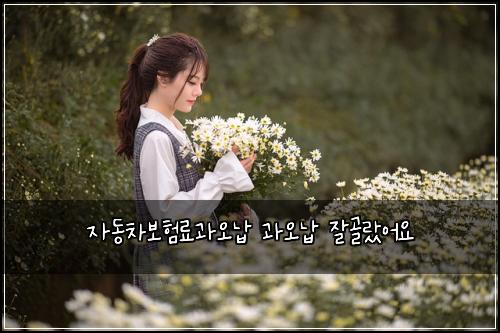 자동차보험료과오납 과오납 잘골랐어요