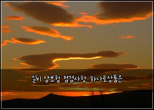 실비 암보험 점검사항  하나로상품은