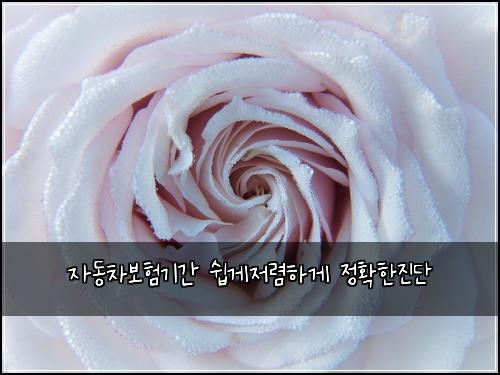 자동차보험기간 쉽게저렴하게 정확한진단