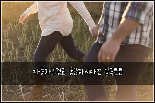 ์๋์ฐจ๋ณดํ๋ฃ ๊ถ๊ธํ์๋ค๋ฉด ์ค์ํผํผ