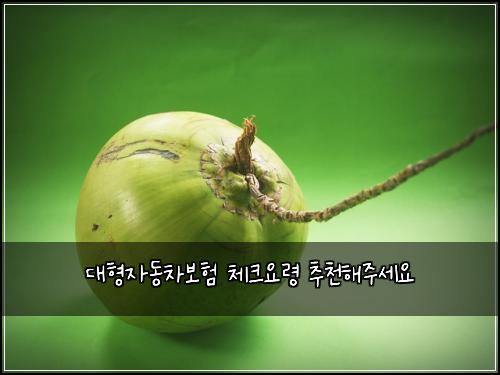 ๋ํ์๋์ฐจ๋ณดํ ์ฒดํฌ์๋ น ์ถ์ฒํด์ฃผ์ธ์