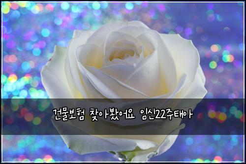 건물보ν μ°Ύμλ΄€μ΄μ μμ 22μ£Όνμ