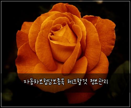 μλ차보νλ΄λ³΄μ’
λͺ© 체ν¬ν κ² μ 보κ΄λ¦¬