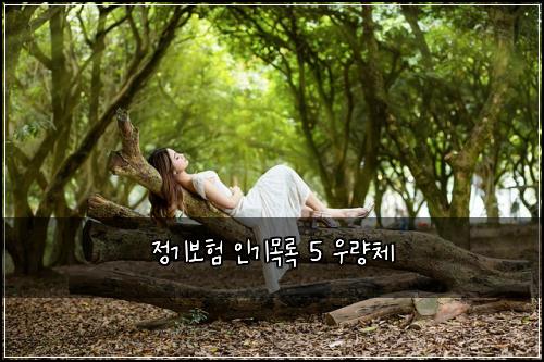 정기보험 인기목록  5 우량체
