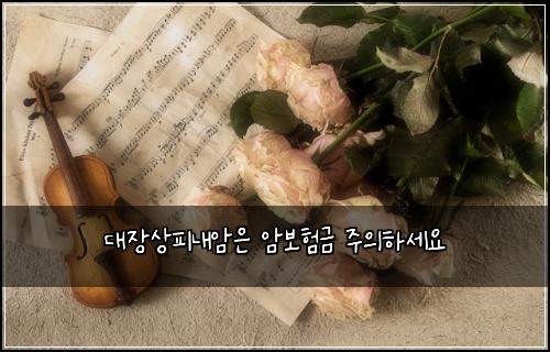 ๋์ฅ์ํผ๋ด์์ ์๋ณดํ๊ธ ์ฃผ์ํ์ธ์