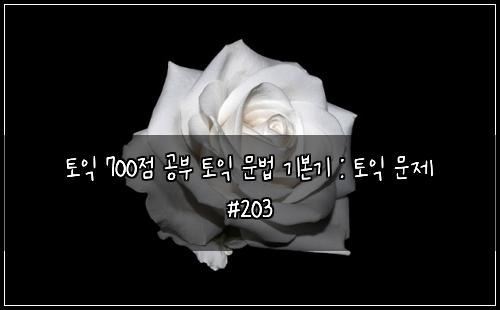 토익 700점 공부 토익 문법 기본기 : 토익 문제 #203