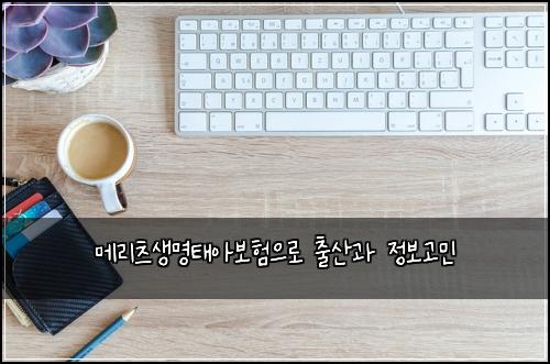 메리츠생명태아보험으로 출산과 정보고민