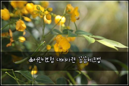db์ด๋ฆฐ์ด๋ณดํ ๋๋น๋ง๋ จ ๊ผผ๊ผผ์ฒดํฌ๋ฒ