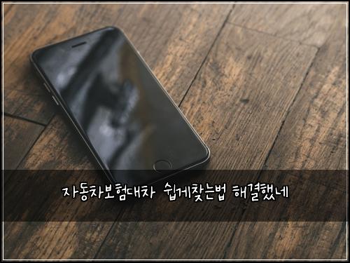 자동차보험대차 쉽게찾는법 해결했네