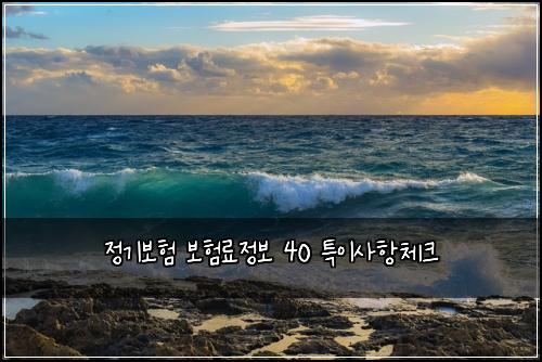 정기보험 보험료정보  40 특이사항체크