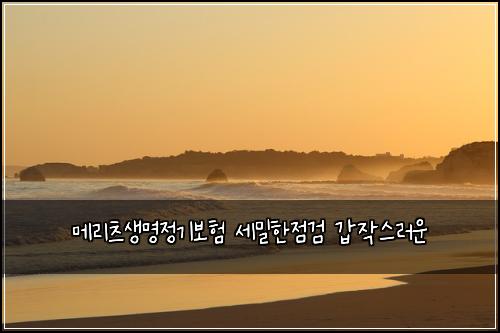 메리츠생명정기보험 세밀한점검  갑작스러운