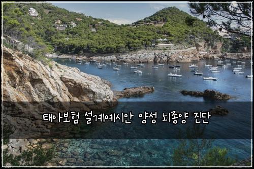 태아보험 설계예시안  양성 뇌종양 진단