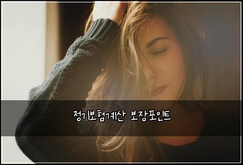 정기보험계산 보장포인트