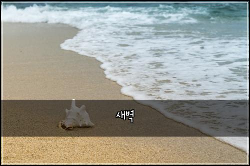새벽