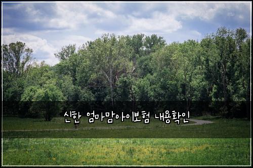 신한 엄마맘아이보험 내용확인 