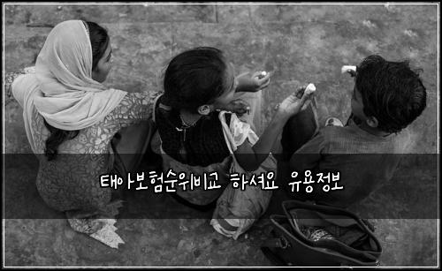 태아보험순위비교 하셔요 유용정보