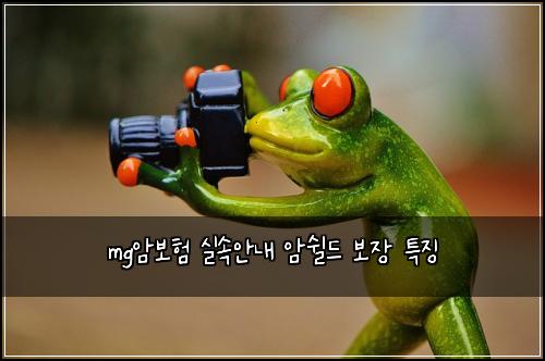 mg암보험 실속안내  암쉴드 보장 특징
