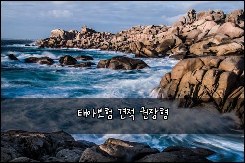 태아보험 견적  권장형