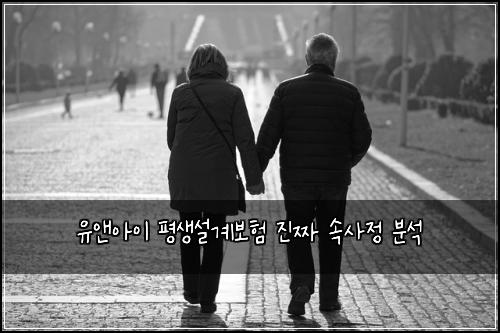 유앤아이 평생설계보험 진짜 속사정 분석