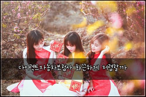 다이렉트자동차보험사 화끈하게 저렴할까