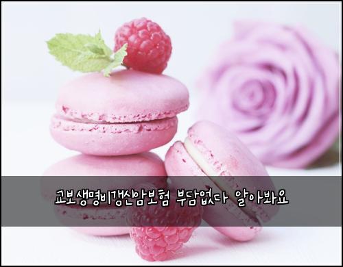 교보생명비갱신암보험 부담없다  알아봐요