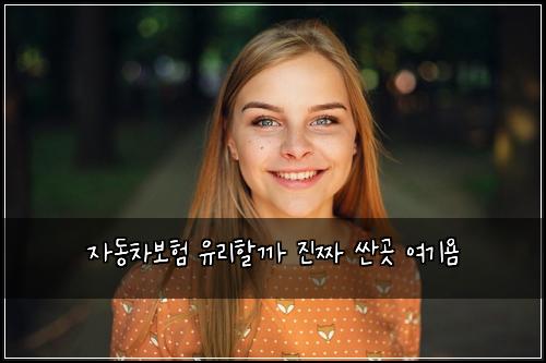 ์๋์ฐจ๋ณดํ ์ ๋ฆฌํ ๊น ์ง์ง ์ผ๊ณณ ์ฌ๊ธฐ์ค