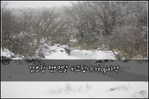 암보험 정보전달  비교합니다top파악