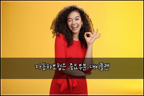 자동차보험은 중요부분 대비플랜