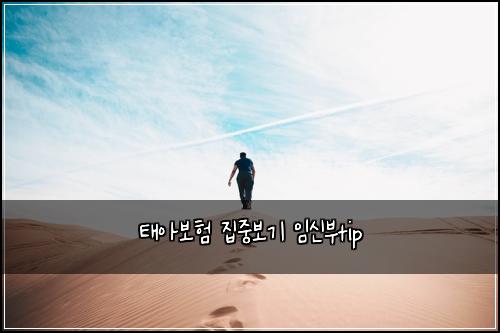 태아보험 집중보기  임신부tip