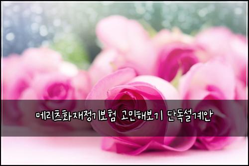 메리츠화재정기보험 고민해보기  단독설계안