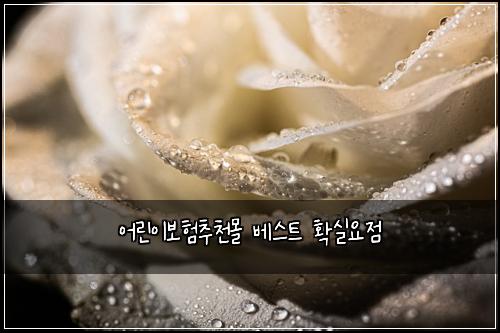 어린이보험추천몰 베스트 확실요점