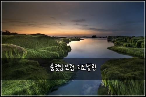 품절암보험 리모델링 
