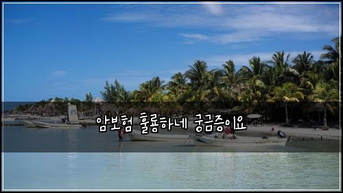 암보험 훌룡하네  궁금증이요